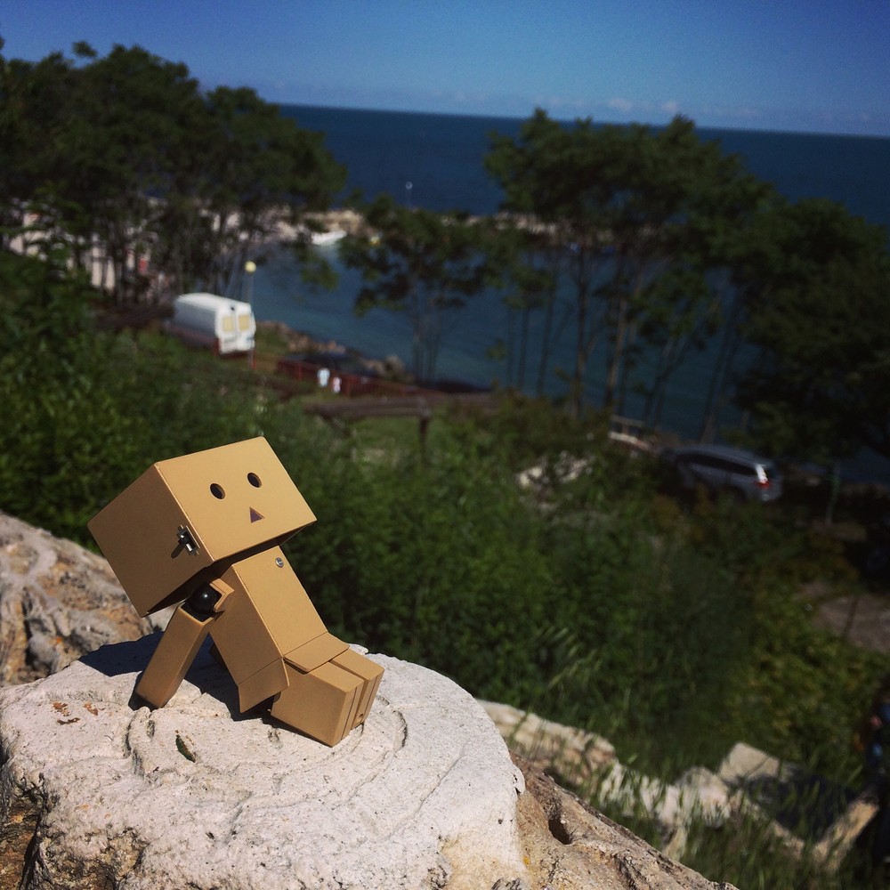 Картонный человечек Данбо (Danbo)!: Идеи и вдохновение в журнале Ярмарки Мастеров