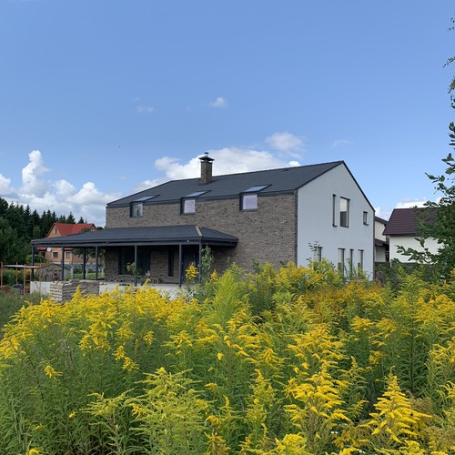 Active House Renovation #3