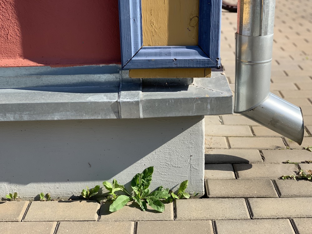 Active House Renovation #2