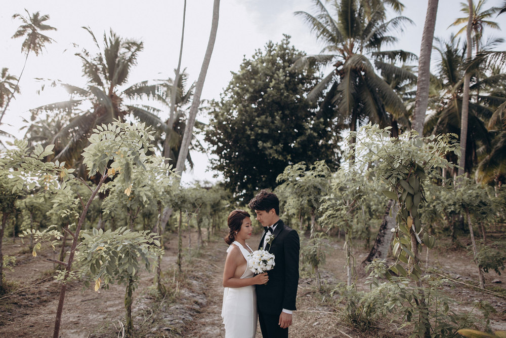 SEYCHELLES DREAM