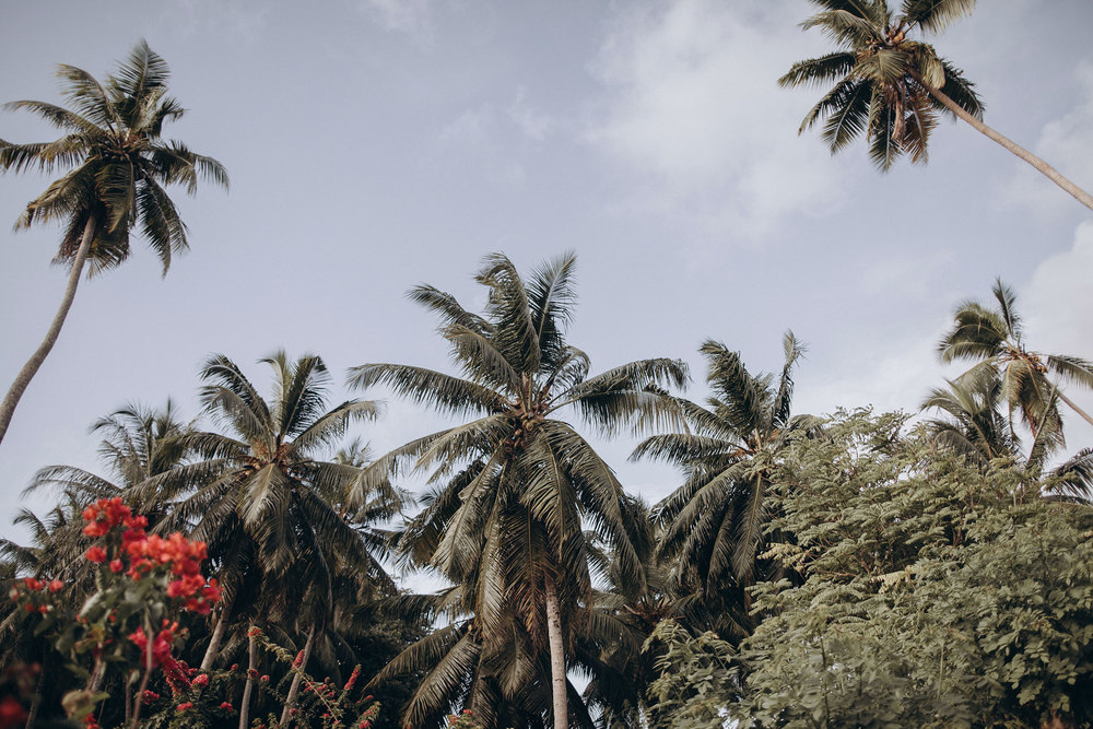 SEYCHELLES DREAM