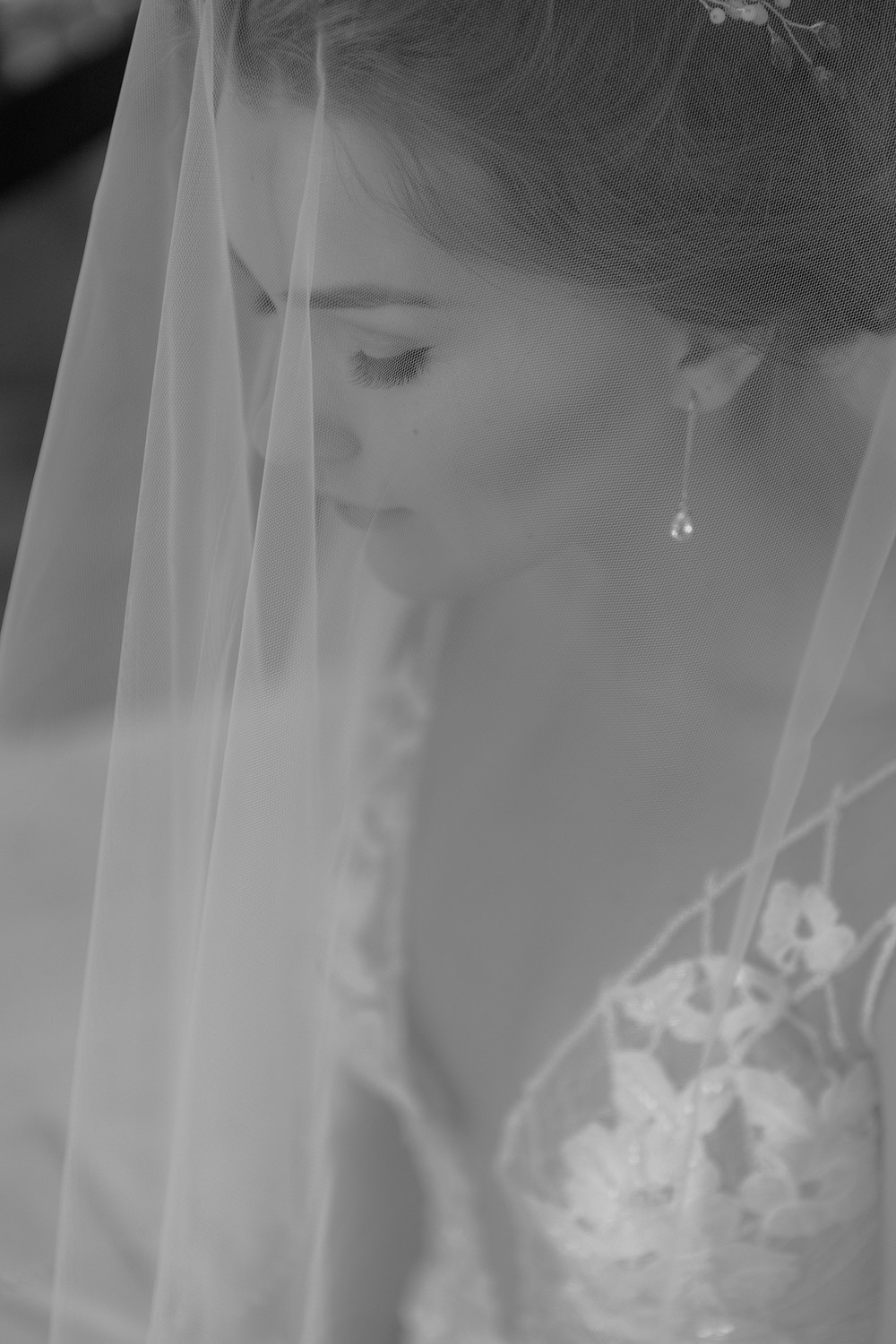 Our dream day