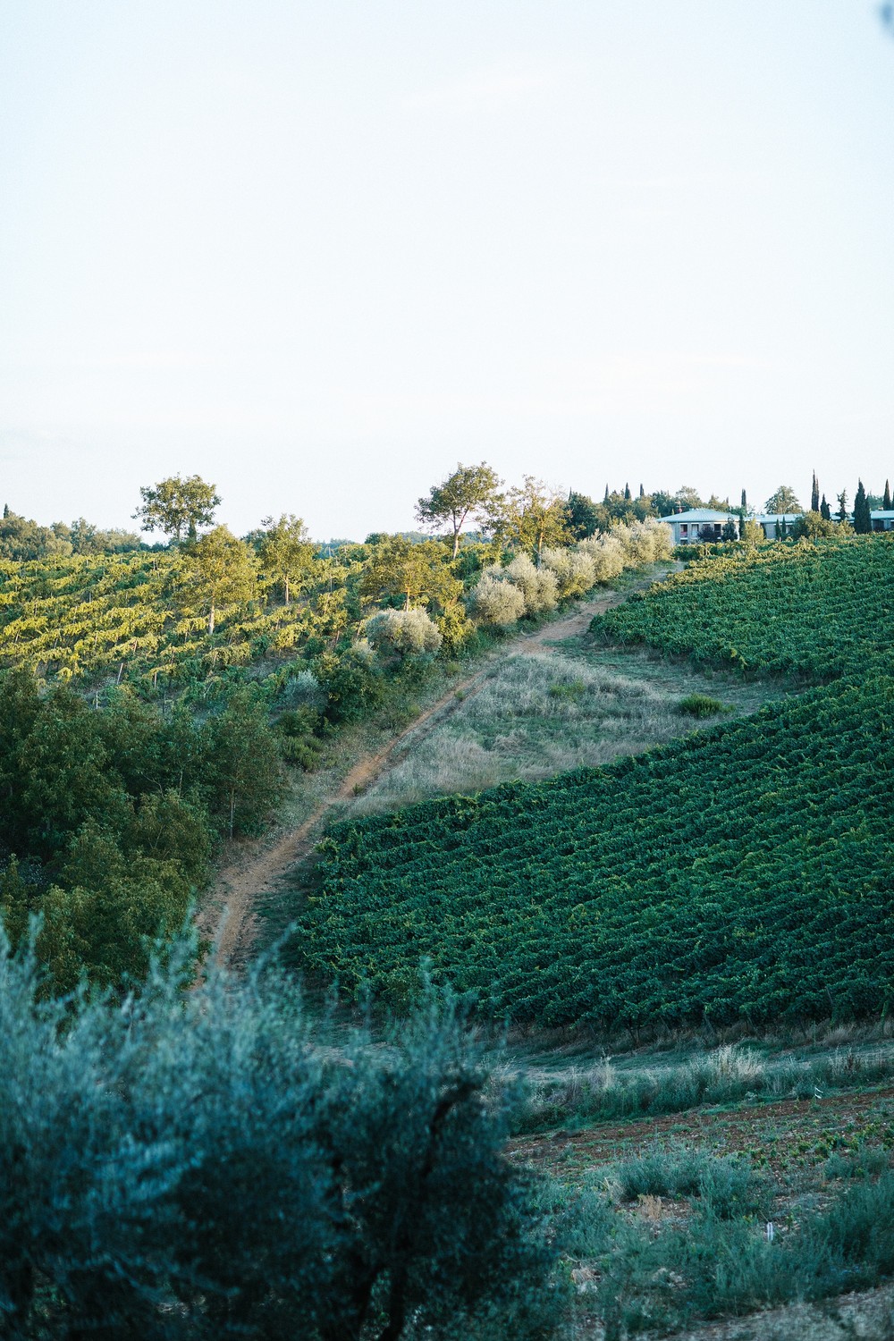 ITALY, TOSCANY