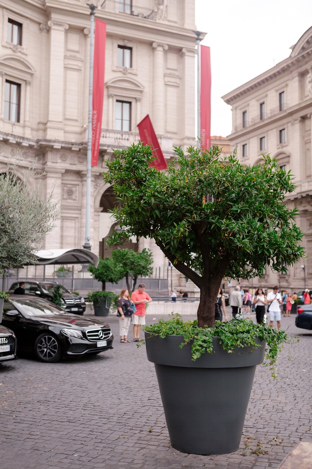 ELOPEMENT, ROME