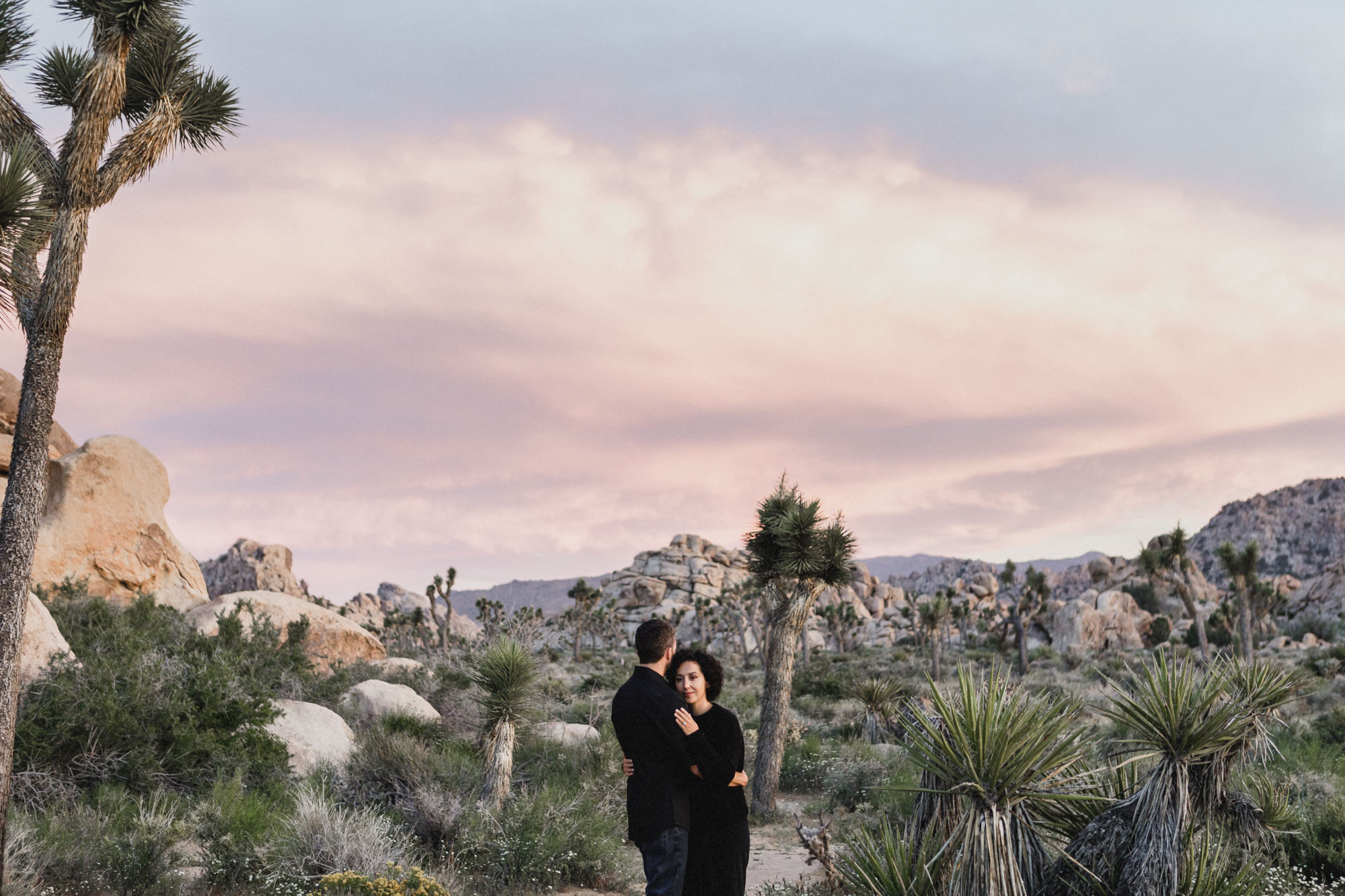 Joshua Tree National Park photo session