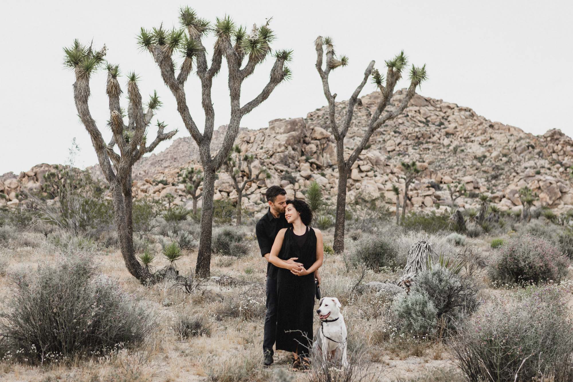 engagement at Joshua Tree National Park