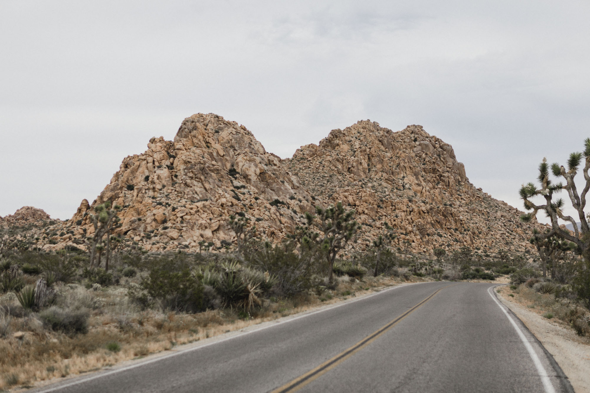 Joshua Tree National Park