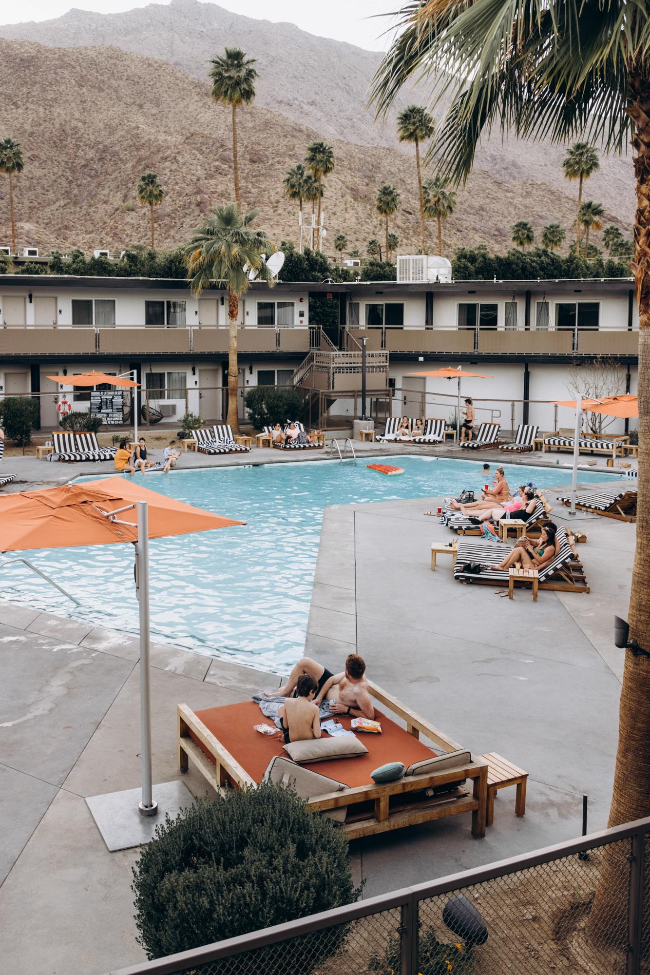 The V Palm Springs by sonder, pool surrounded by palm trees with mounties on the backgound