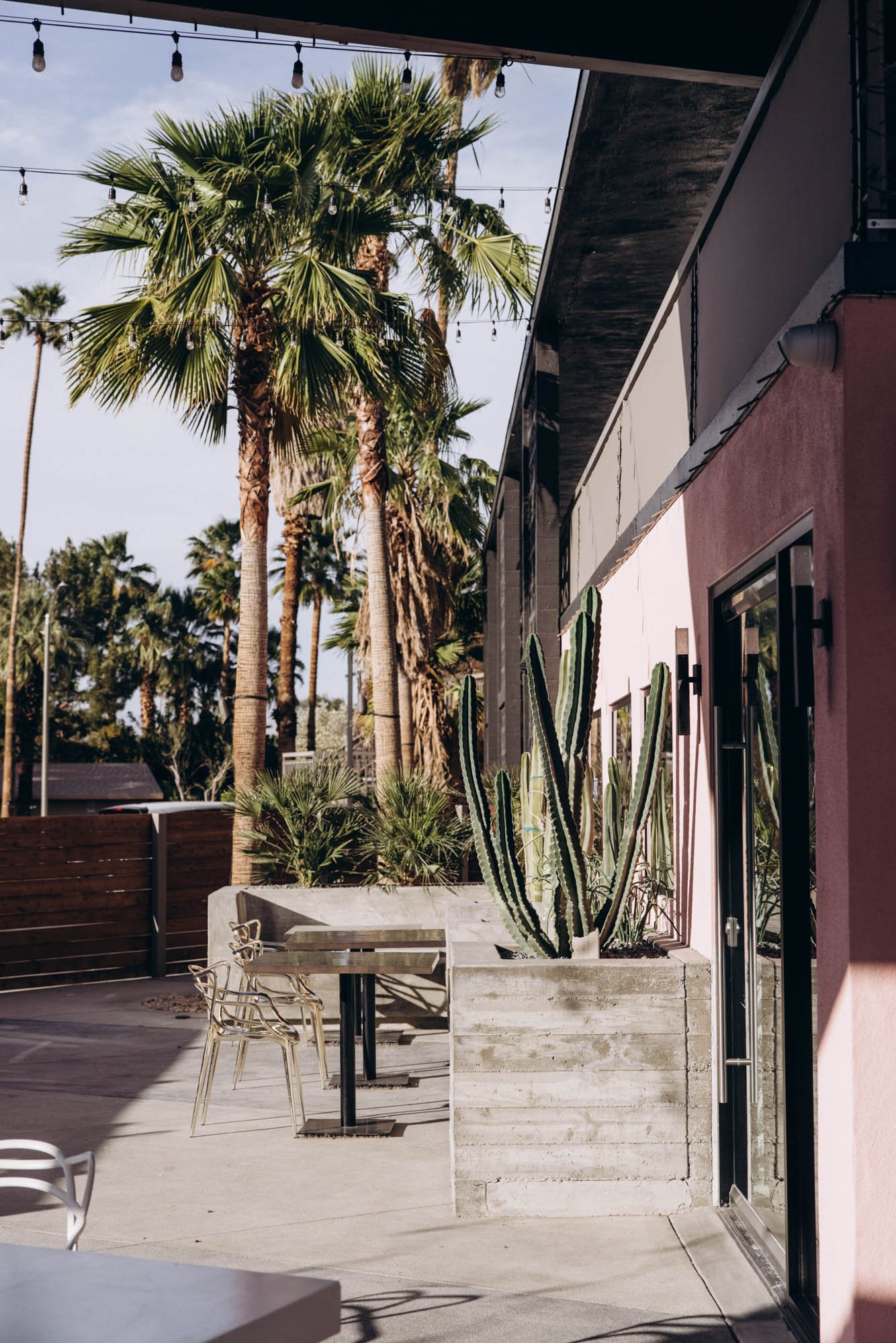 The V Palm Springs by sonder, exterior details, palm trees and cactuses