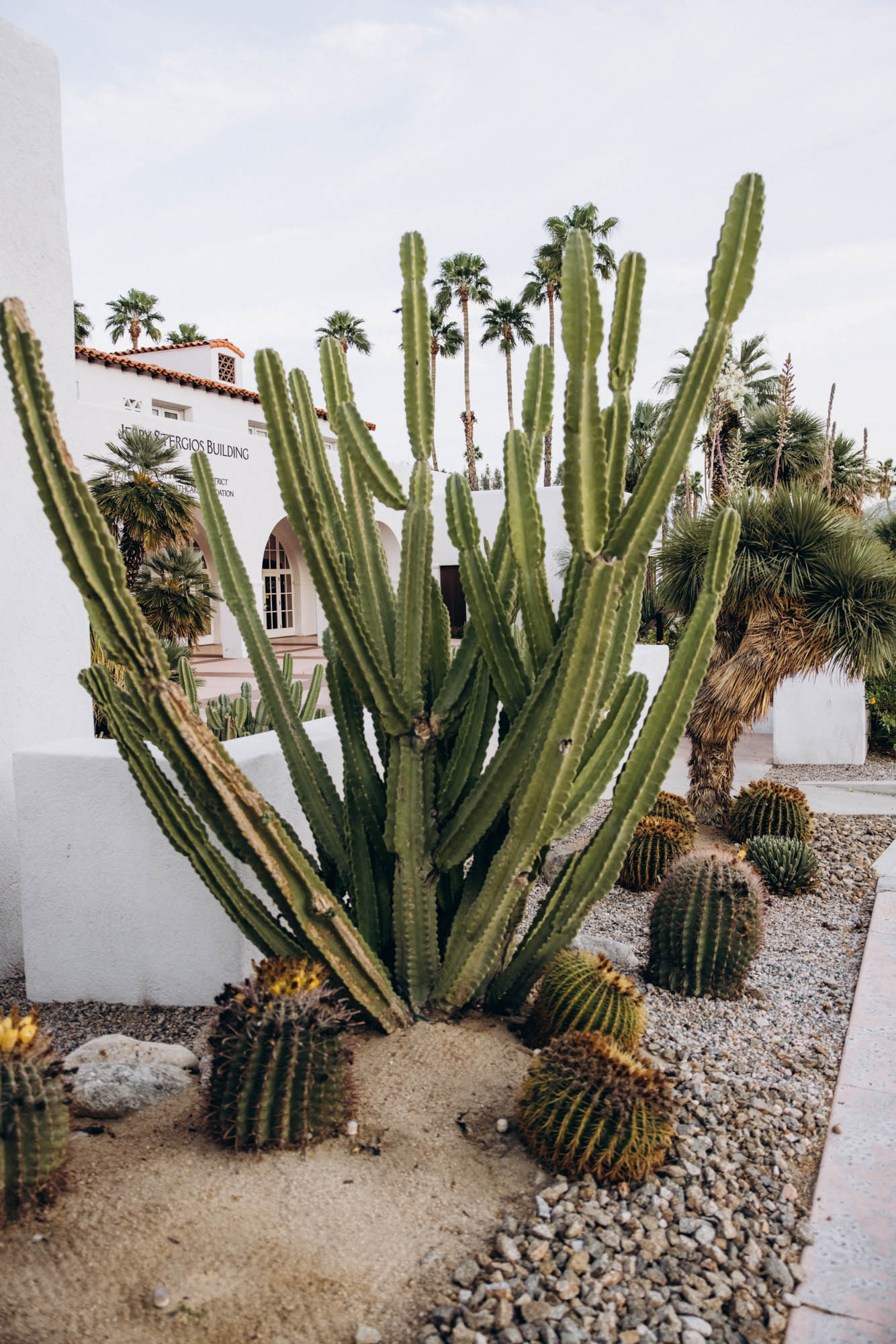 The V Palm Springs by Sonder, exterior details, palm trees and cactuses