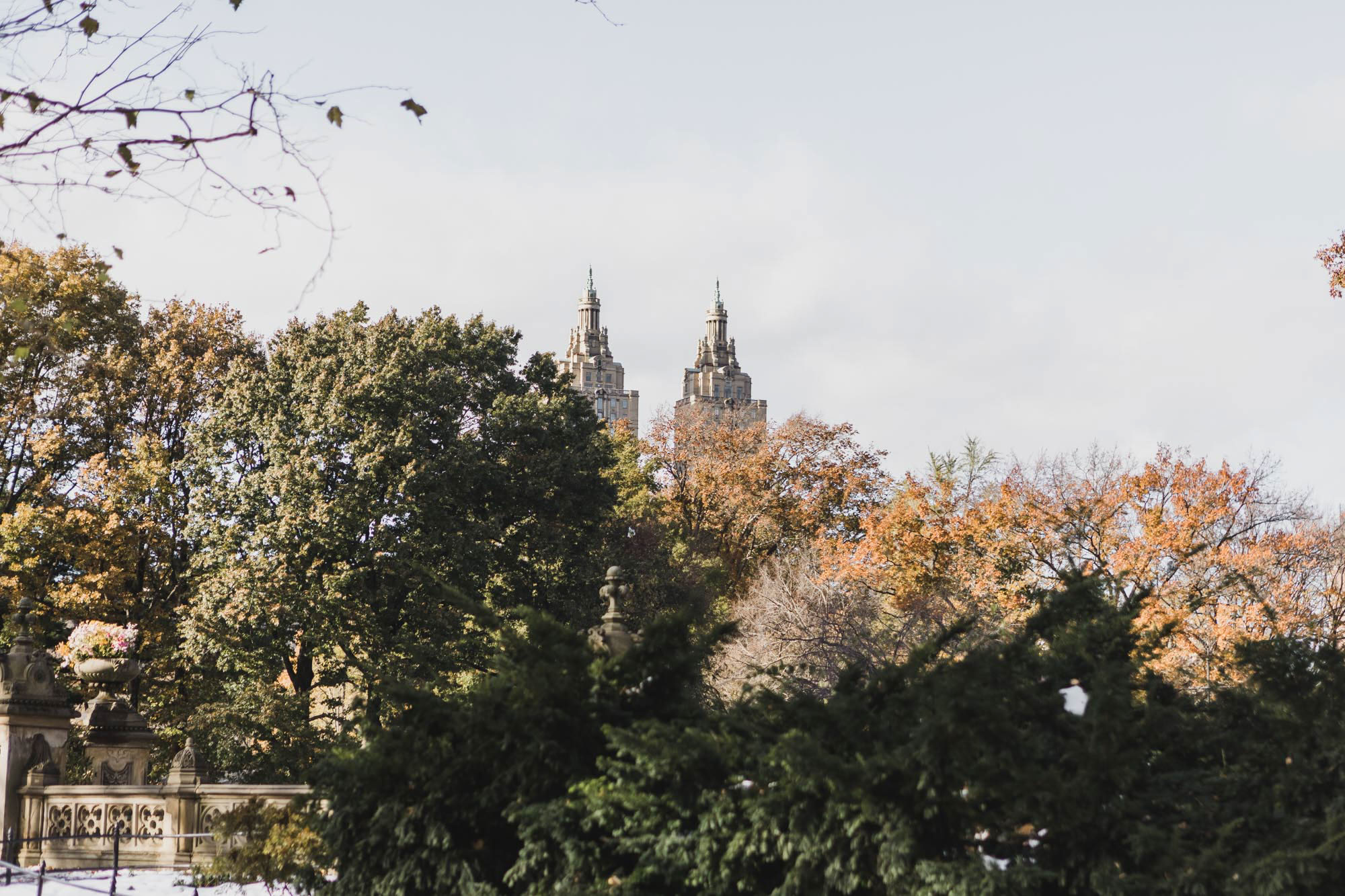 Central Park in the fall. Manhattan NY