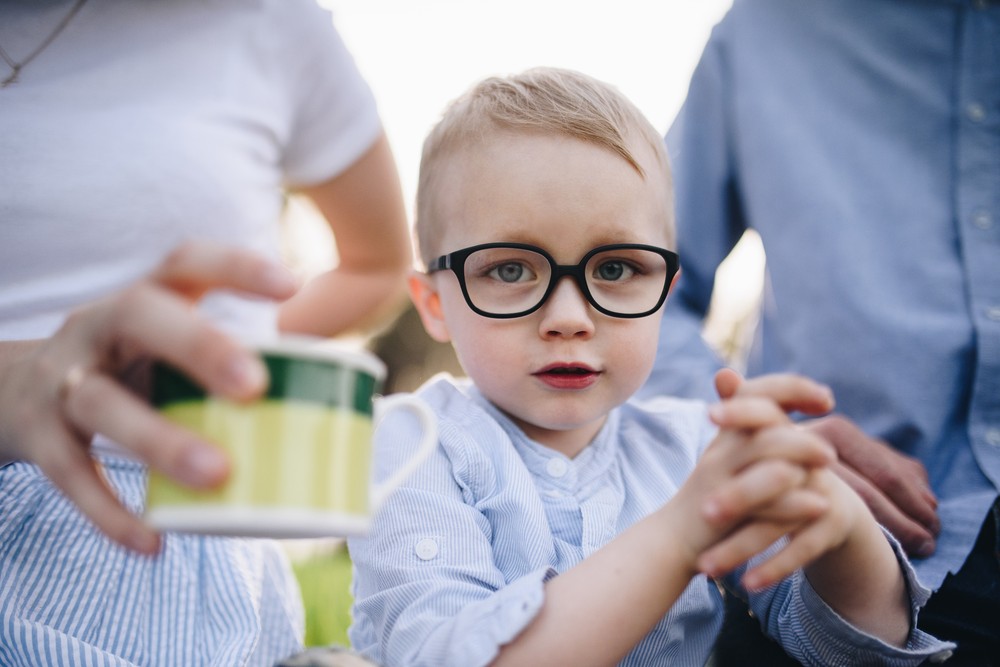 Family Picnic