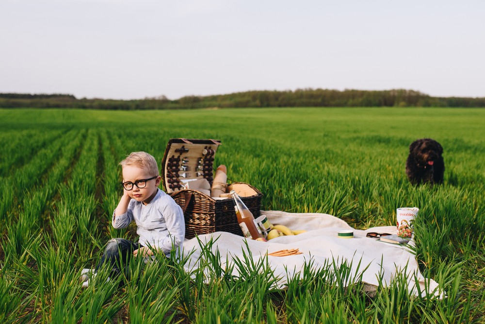 Family Picnic