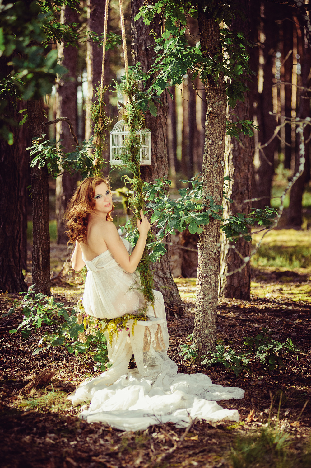 The forest wonders