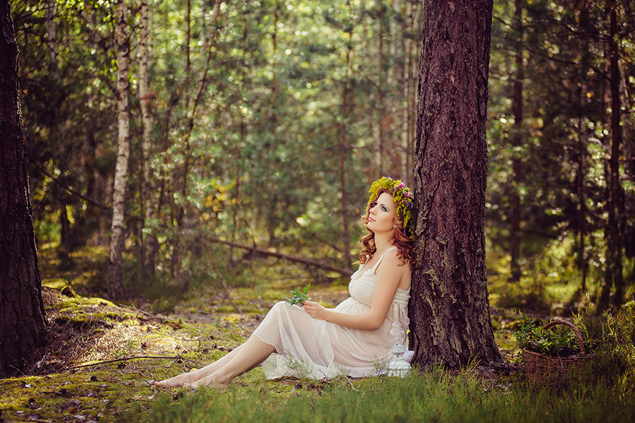 The forest wonders