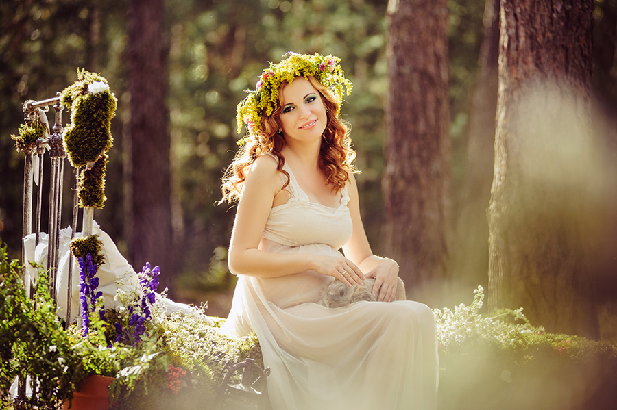 The forest wonders