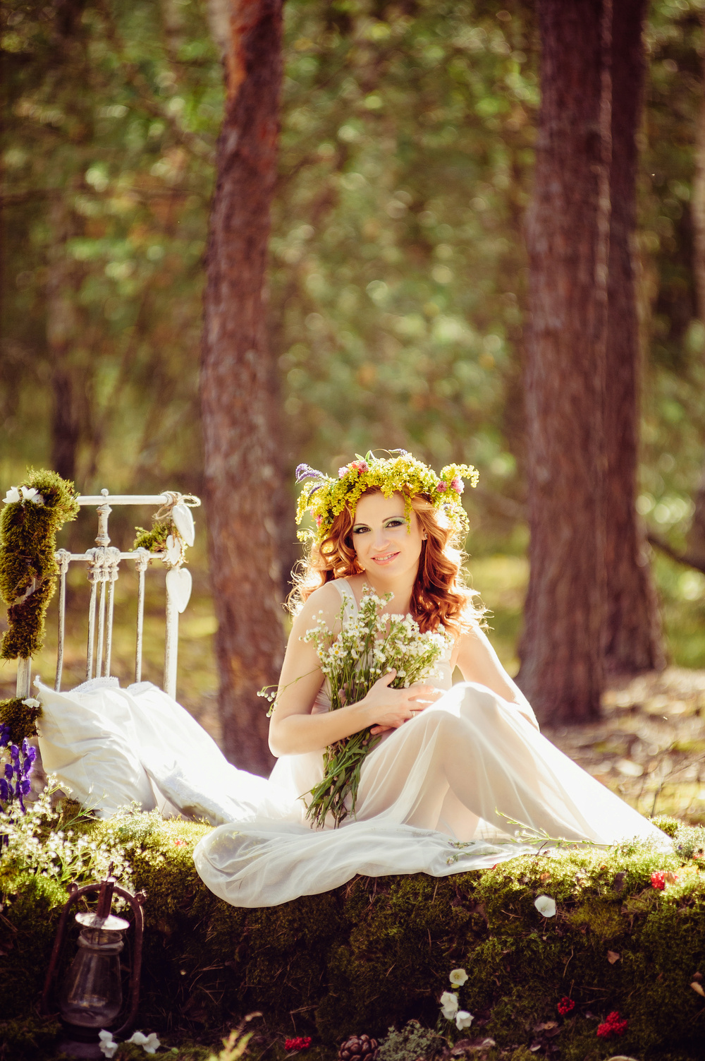 The forest wonders