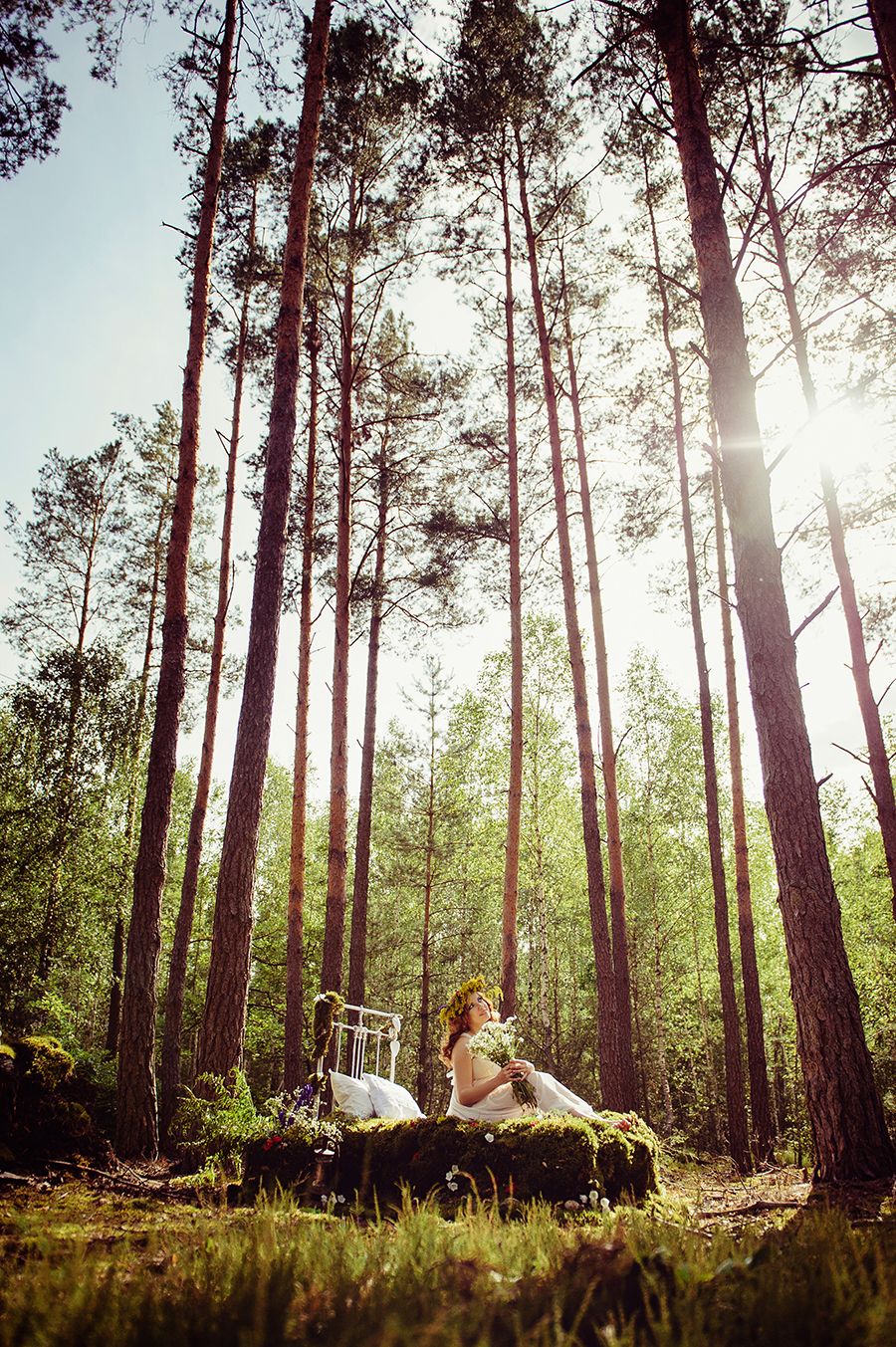 The forest wonders