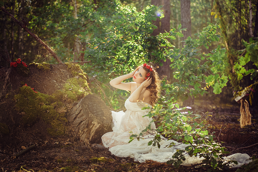 The forest wonders