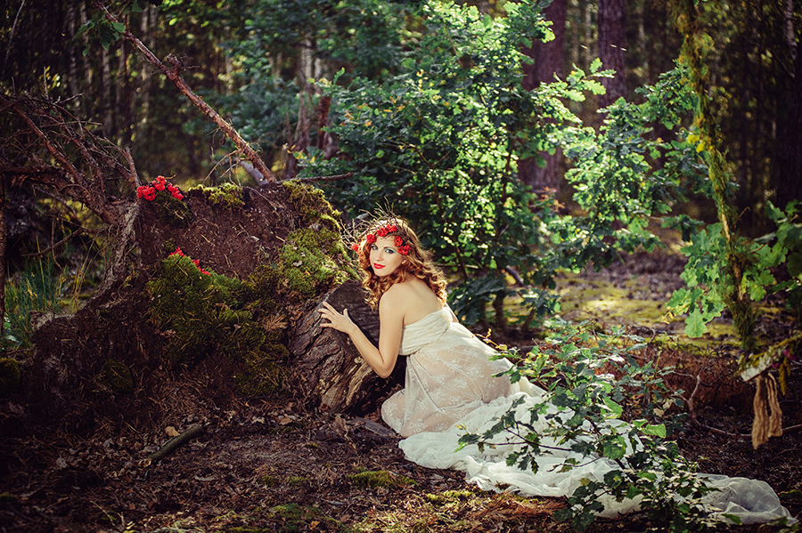 The forest wonders