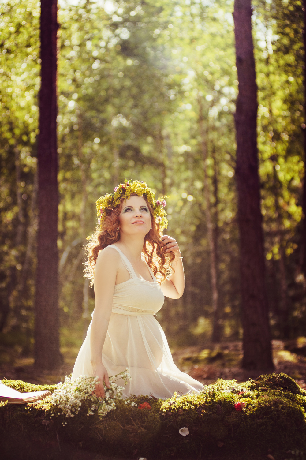 The forest wonders