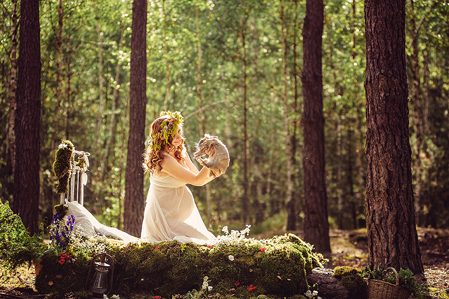 The forest wonders
