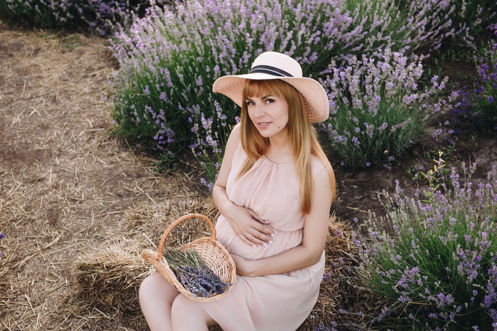 Lavender