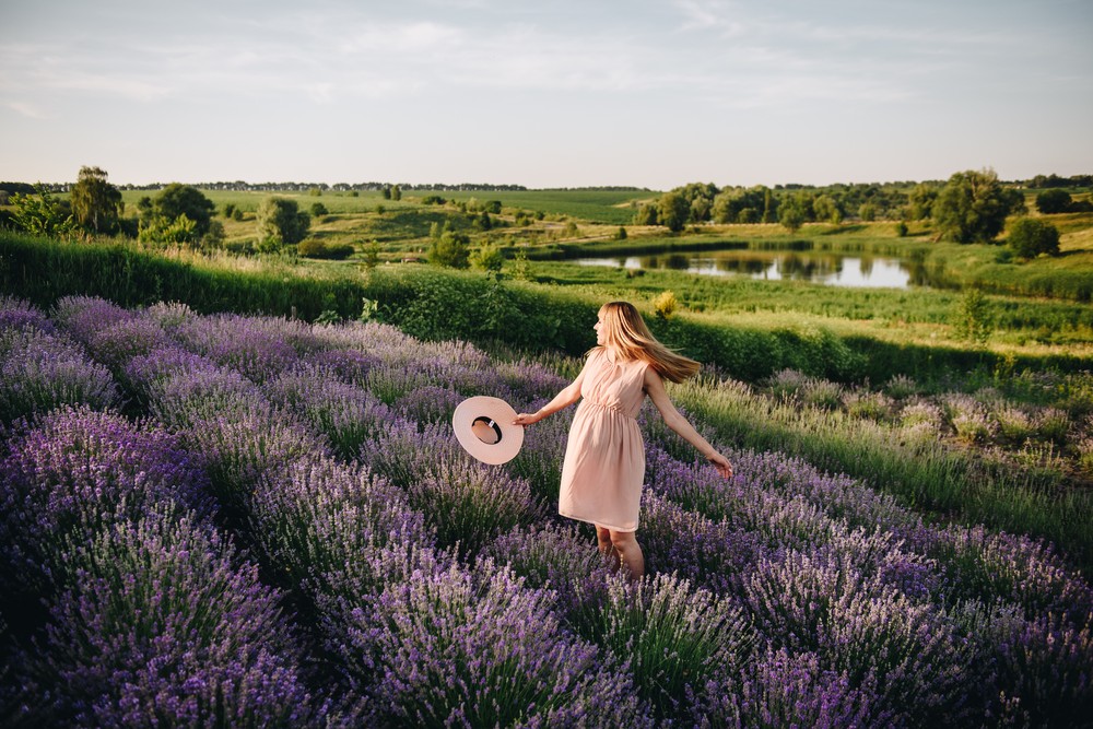 Lavender