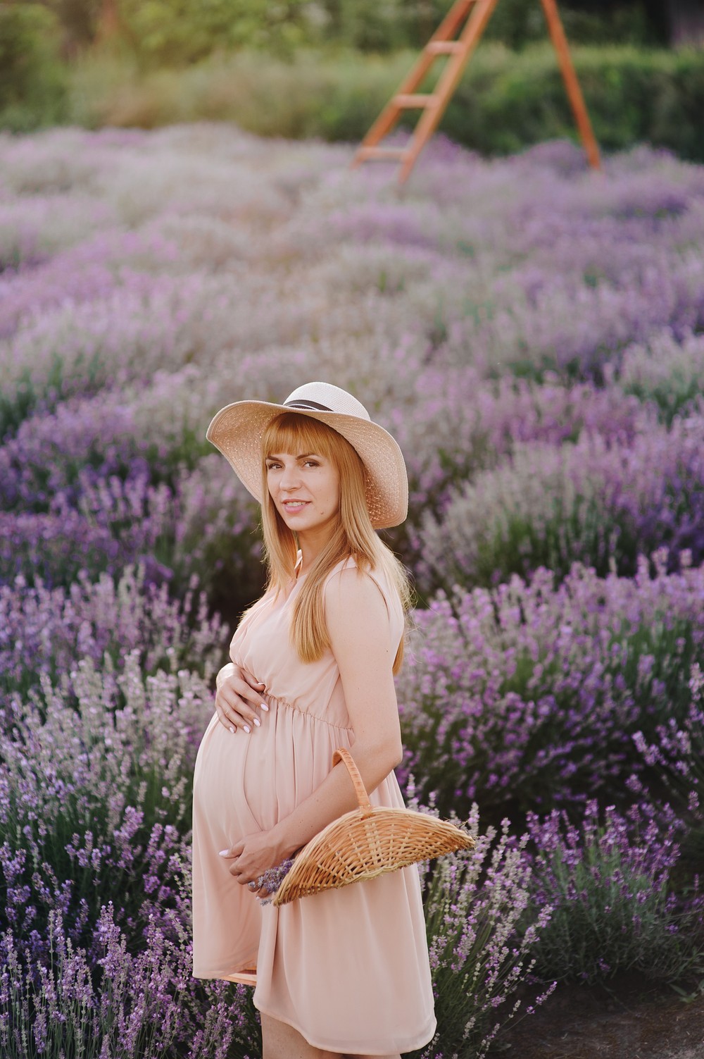 Lavender