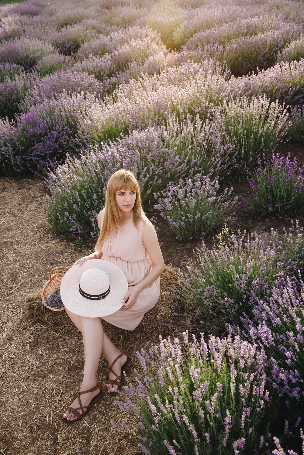 Lavender