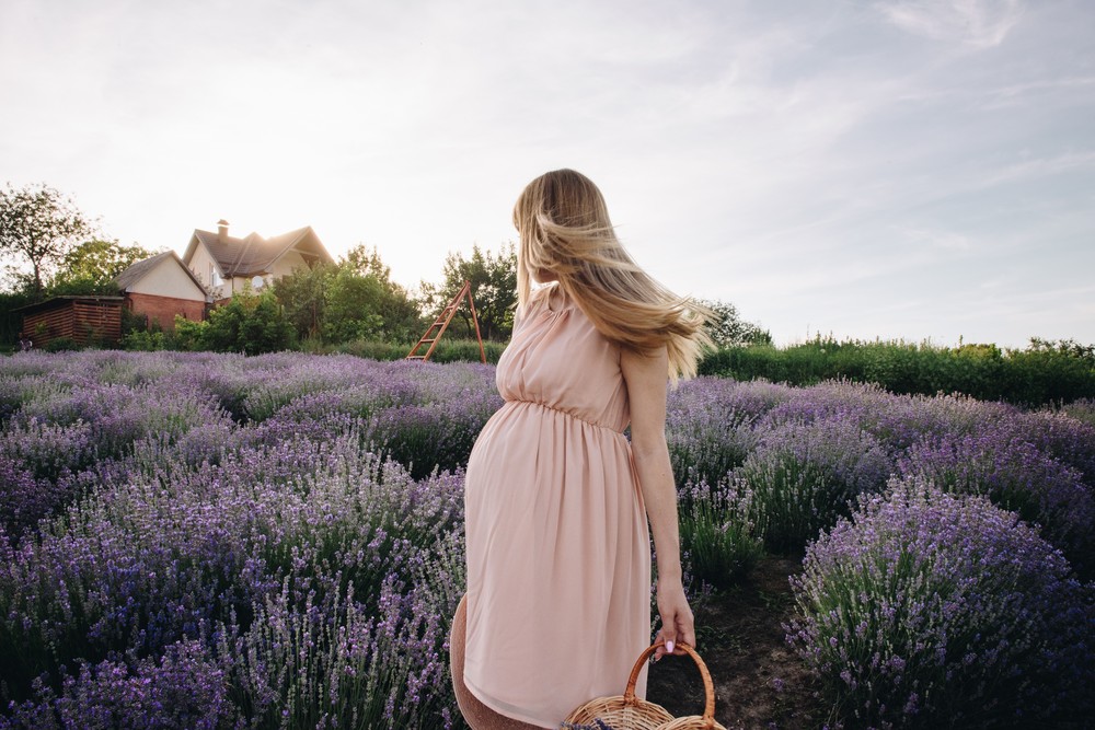 Lavender