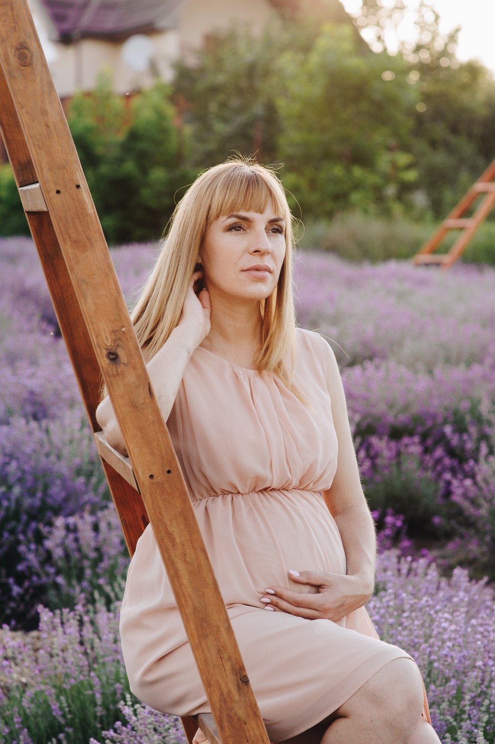 Lavender