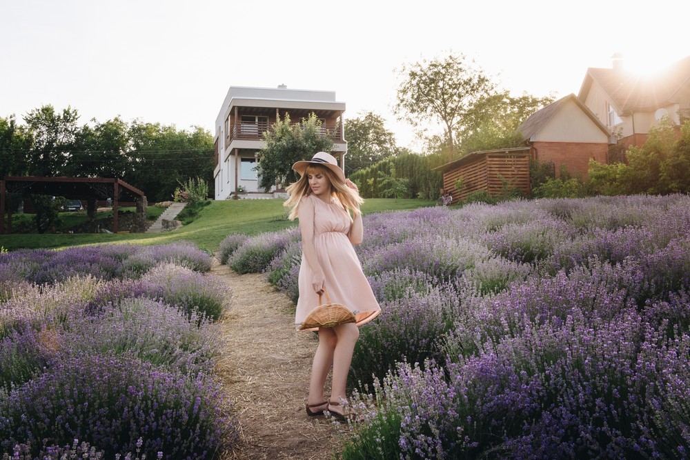 Lavender