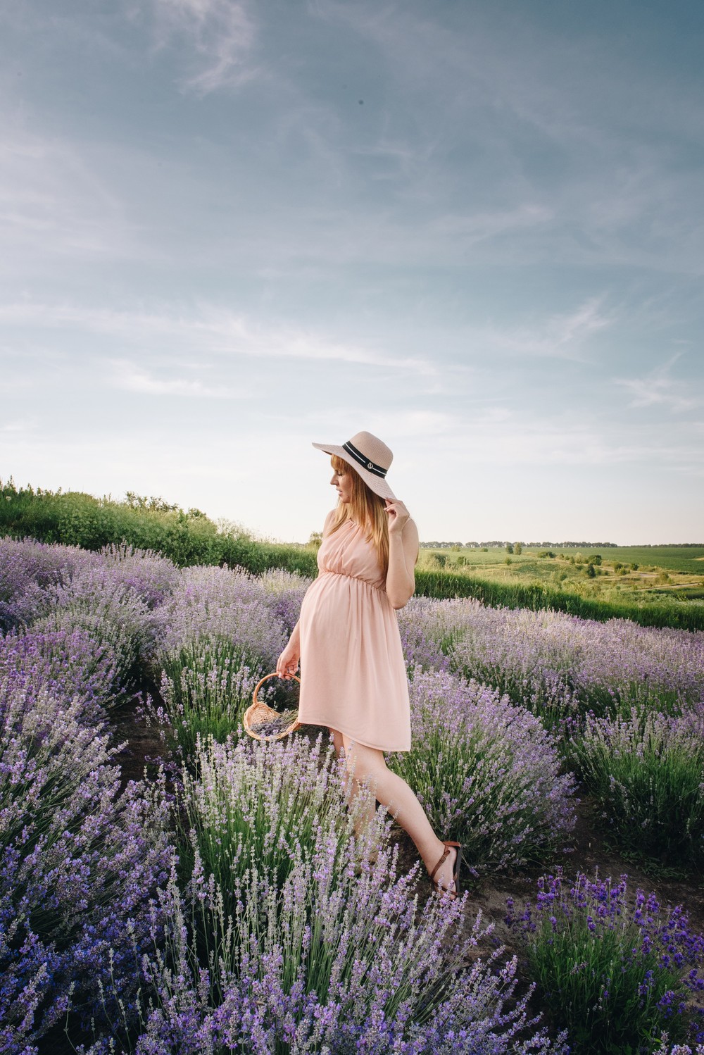 Lavender