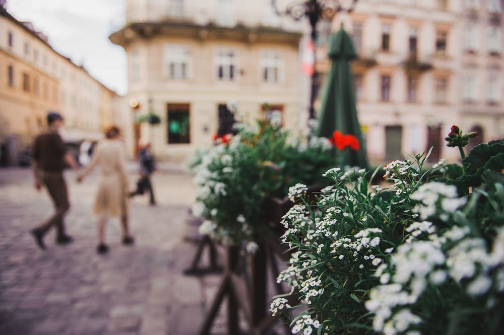 Love in Lviv
