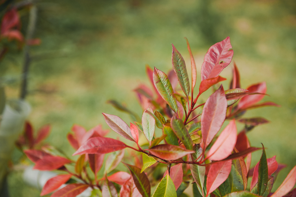 СТЮАРТ + КАТЯ