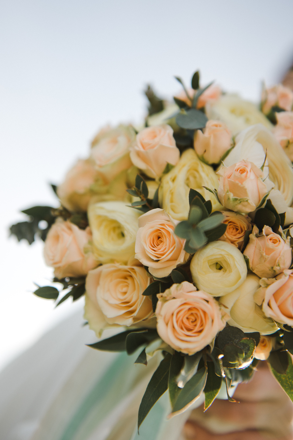 АЛЕНА + МИША