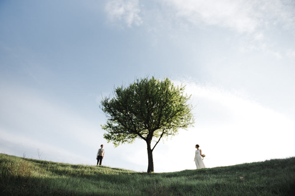 АЛЕНА + МИША