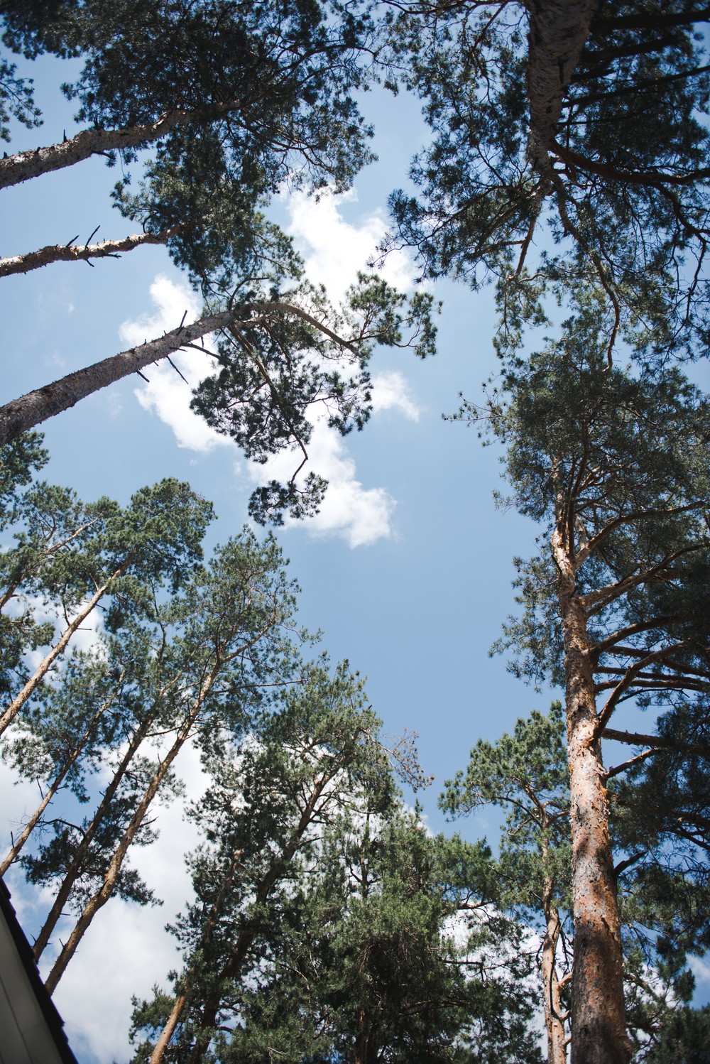 НАДЯ + ТОРСТЕН