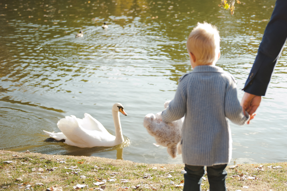 ОСЕННЯЯ ПРОГУЛКА