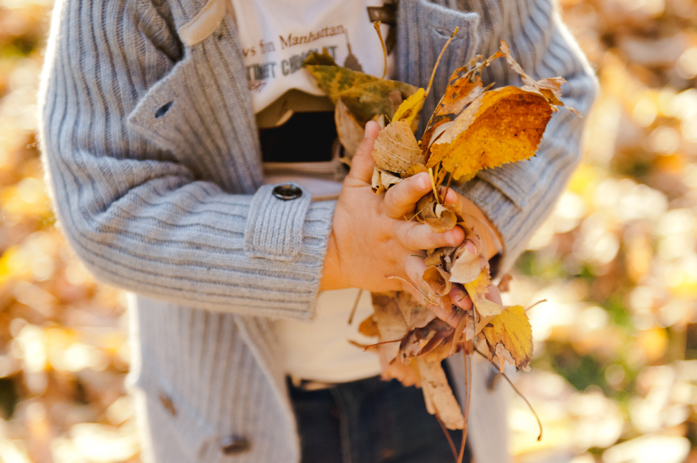 ОСЕННЯЯ ПРОГУЛКА