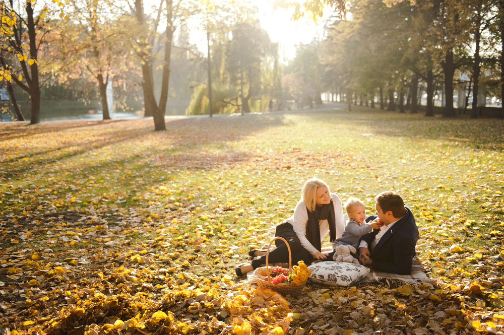ОСЕННЯЯ ПРОГУЛКА