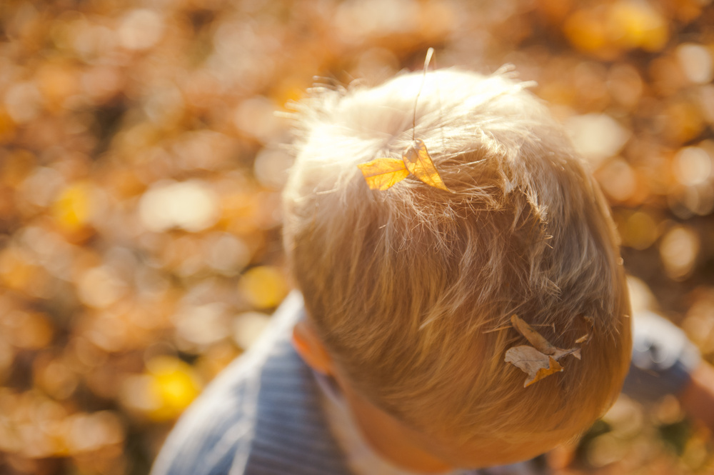 ОСЕННЯЯ ПРОГУЛКА