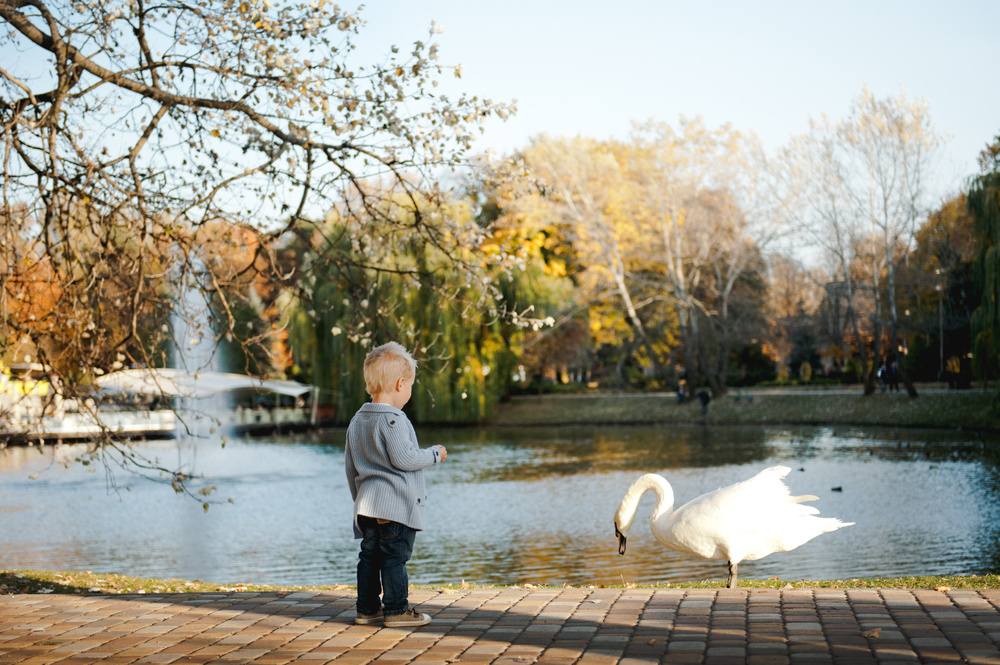 ОСЕННЯЯ ПРОГУЛКА
