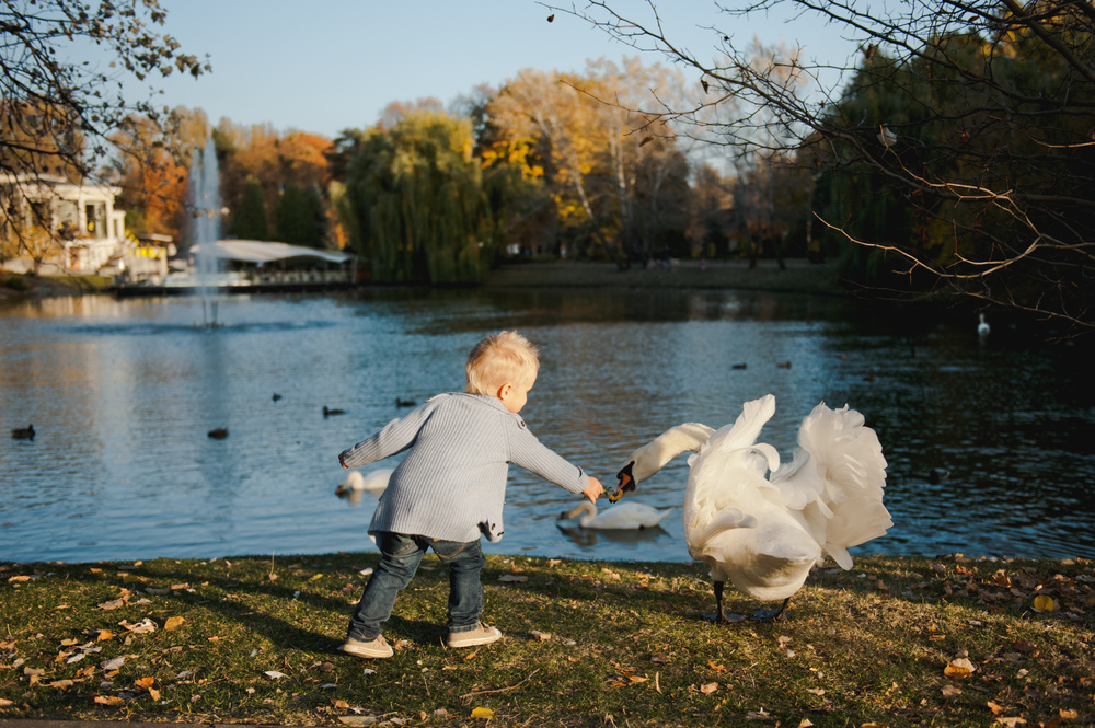 ОСЕННЯЯ ПРОГУЛКА