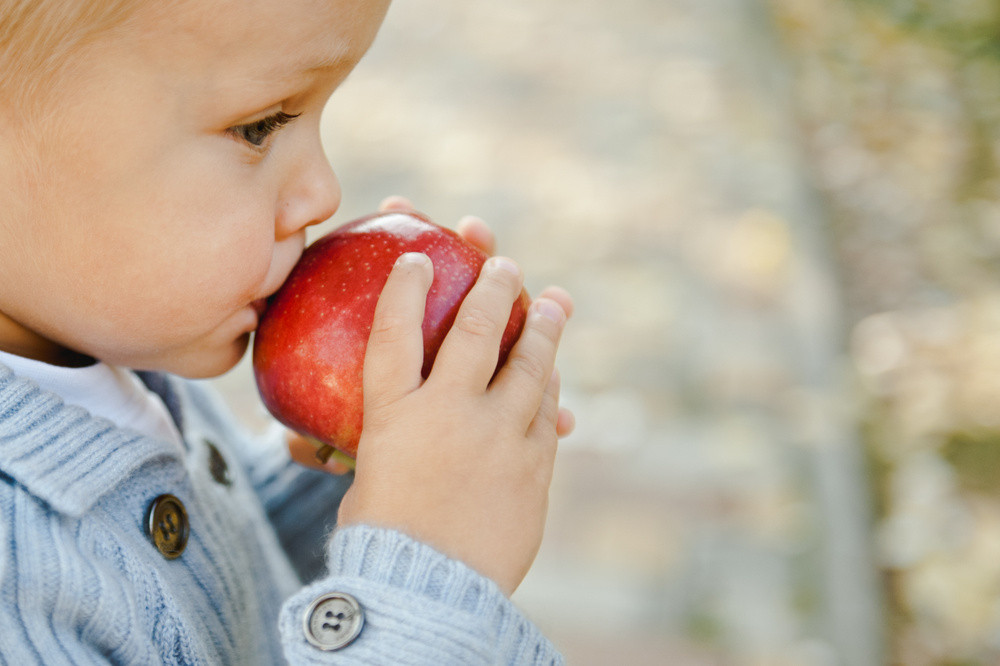 ОСЕННЯЯ ПРОГУЛКА