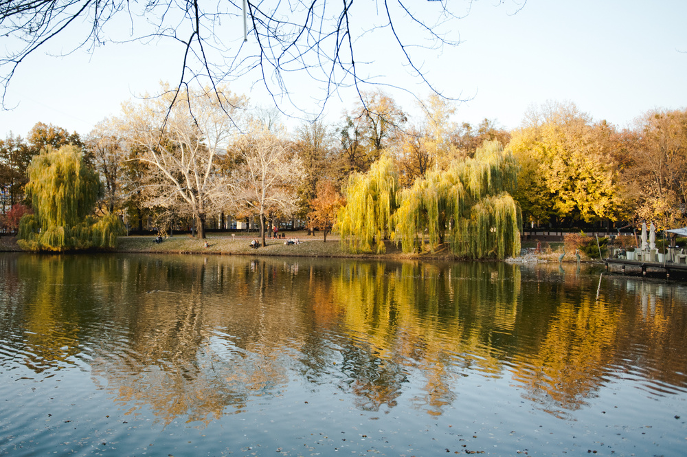 ОСЕННЯЯ ПРОГУЛКА