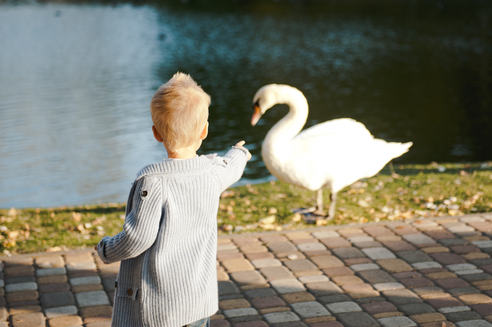ОСЕННЯЯ ПРОГУЛКА