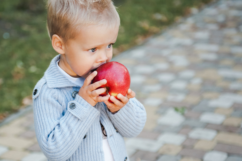 ОСЕННЯЯ ПРОГУЛКА