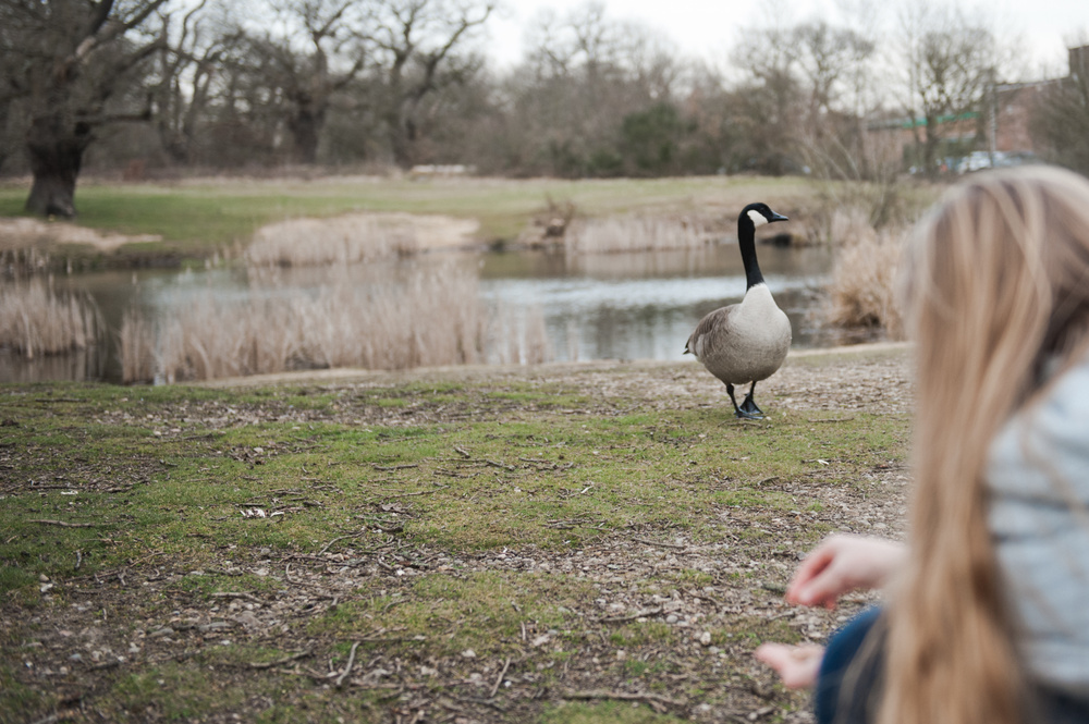 ВЕЧЕР У ОЗЕРА